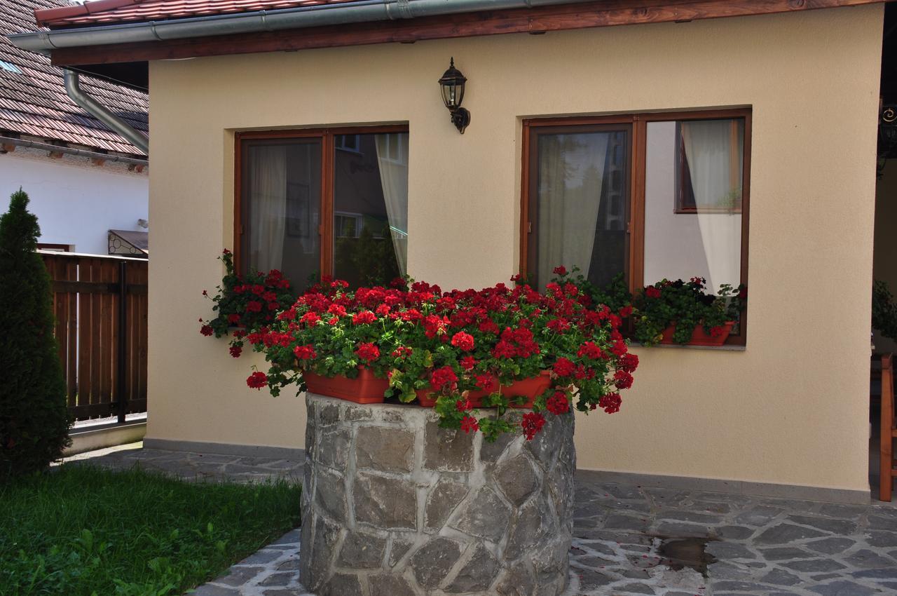Vila Anna Malnas Bai Exteriér fotografie